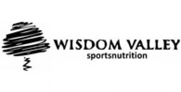 Wisdom-Valley-logo2