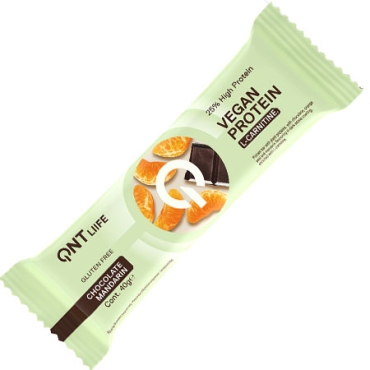 Vegan Protein Bar + L-Carnitine 40 gr