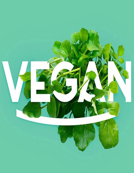 Proteon.gr - Vegan Diet