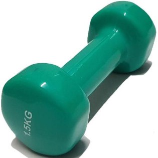 Vinyl-Dumbbell-Green-1500