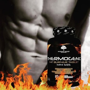 Wisdom-Valley-Thermogenic-90-2