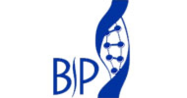 bp_logo_195_x_100_px