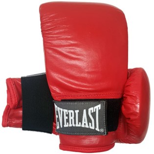 Everlast-Leather-Pro-Bag-Gloves-Boston-Red