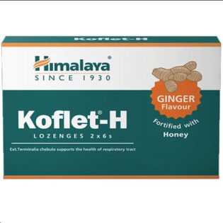 Himalaya-Koflet-H-2-x-6-lozenges-Ginger