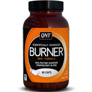 Qnt-Burner-2