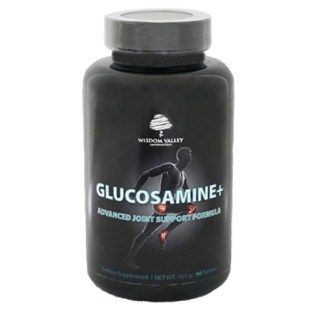 glucosamine_plus_450_px_wisdom_valley