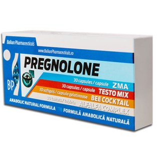 pregnolone_450_px