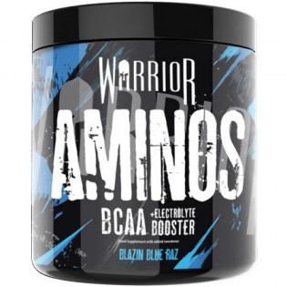 warrior_aminos_360_gr_450_px